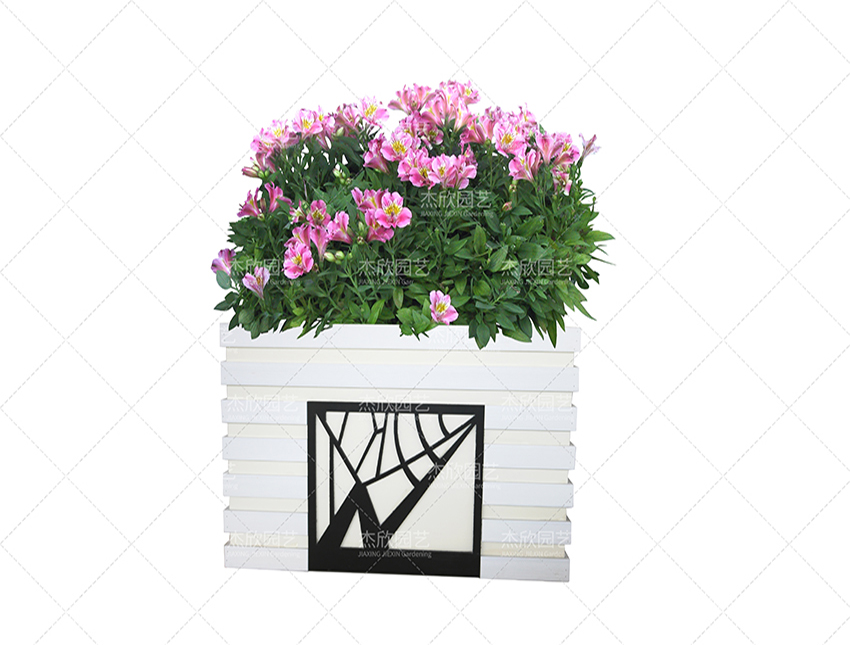 組合花箱中有哪些創(chuàng)意款式？